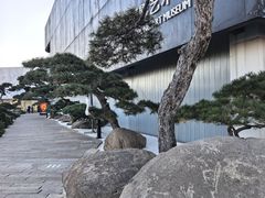 -罗红摄影艺术馆