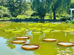 -国家植物园南园