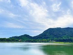 -风云岭森林公园