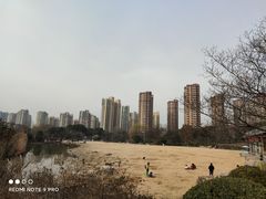 -青枫公园