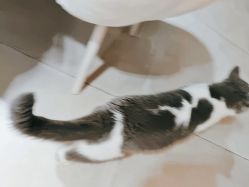 -ChuLian初莲日式美甲美睫