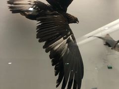 -盐城丹顶鹤湿地生态旅游区