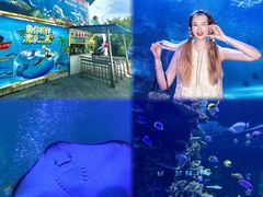 -左海海底世界