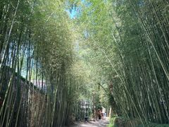 -竹泉村旅游度假区