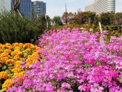 -成都市文化公园