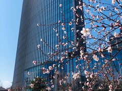 -西门子中国有限公司(阜通东大街店)