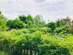 -三圣花乡旅游区