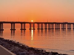 -宝安西湾红树林湿地公园