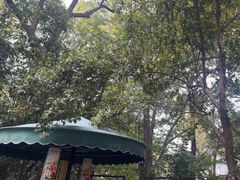 -一江春水·杭帮臻宴(三台山店)