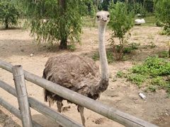 -大连森林动物园