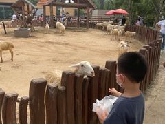 -太原动物园