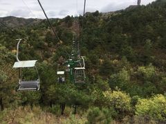 -磬锤峰森林公园