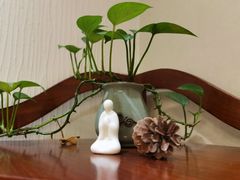-畅和茶坊·曦瓜中国大红袍
