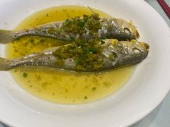 -骏莱海鲜鱼港(五角场店)