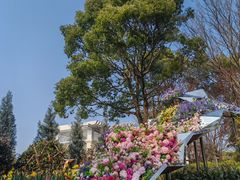 -上海鲜花港
