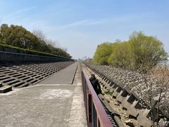 -上海滨江森林公园