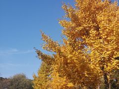 -青州市云门山风景区