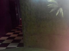 android_upload_pic-H次元沉浸剧情密室(街道口店)