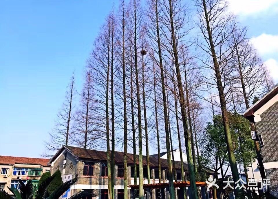 德清县乾元镇清溪小学图片 第2张