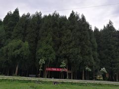 -武陵山森林公园