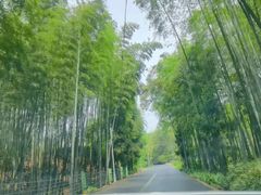 -蜀南竹海景区