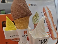 -野人先生现做冰淇淋(西安赛格店)