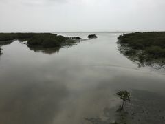 -北海金海湾红树林生态旅游区