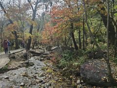 -玉渡山自然风景区