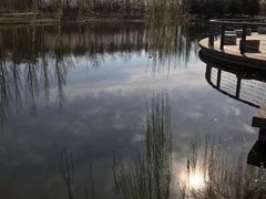 -大兴滨河森林公园