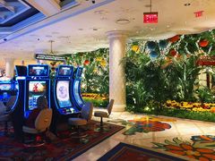 -拉斯维加斯永利酒店