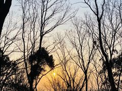 -上海市保健医疗中心