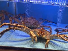 -阿伟海鲜楼·福建菜(延寿店)