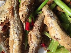 -老味道1992(武当山店)