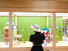 -帕帕拉兹宠物(亚洲旗舰店)