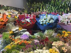 -朝来春花卉市场