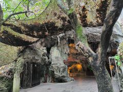 -黔灵山公园