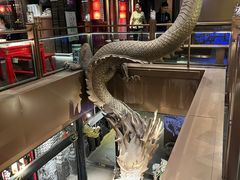 -小龙翻大江文化火锅(宽窄店)