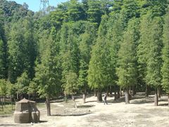 -广州市帽峰山景区