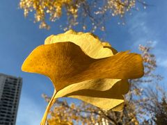 -苏州河梦清园环保主题公园