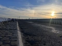 -南汇嘴观海公园