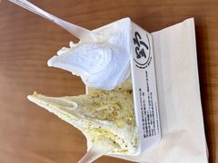 -野人先生现做冰淇淋(贵阳万象汇店)