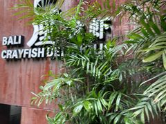 -巴厘龙虾·榜首油焖大虾(洞庭·艺术洋房店)