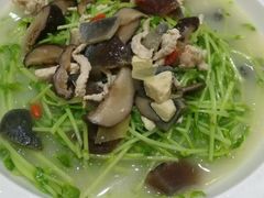 上汤豆苗-瑞记湛江鸡饭店·粤西第一鸡(粤垦店)