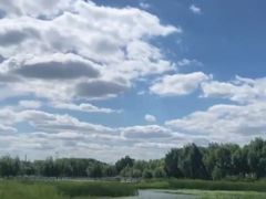 -蒲河岛湿地公园