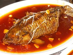 罾蹦鲤鱼-津菜宋记老房子(鼓楼店)