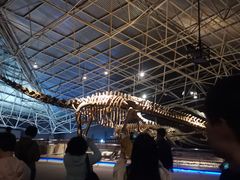 -世界恐龙谷景区