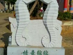 -东寨港红树林旅游区