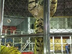 -西安秦岭野生动物园