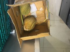 -叶氏兄弟(大连奥特莱斯店)
