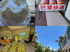 -东郊椰林